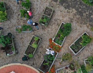 Community Garden Trott Park
