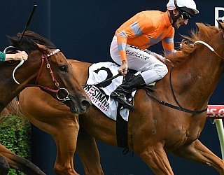 Morphettville Featured Image