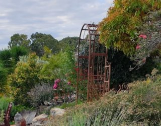 Native Garden banner image