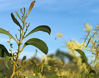 Ohalloranhill Featured Image