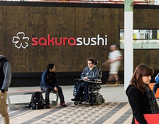 Sakura Featured Image