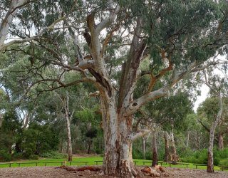 Efba6146 4778 4224 b365 b4e933b73f4e