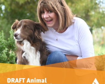 Microsoft Teams image 10