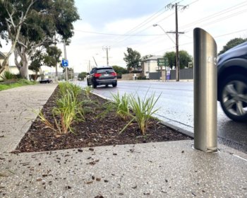 Morphett Road streetscape website pic