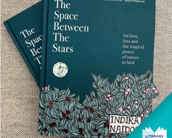 The Space Between the Stars