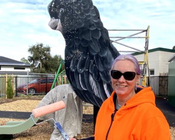Ballara Park Reserve pre opening 2872 book boxes