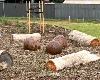 Lapwing reserve website eggs