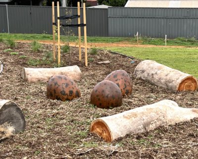 Lapwing reserve website eggs