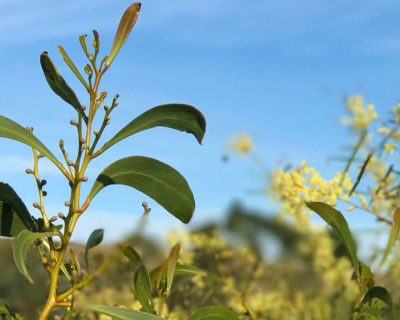 Ohalloranhill Featured Image