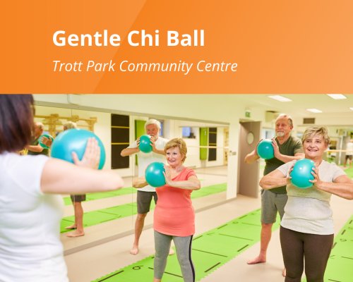 Gentle Chi Ball Trott Park