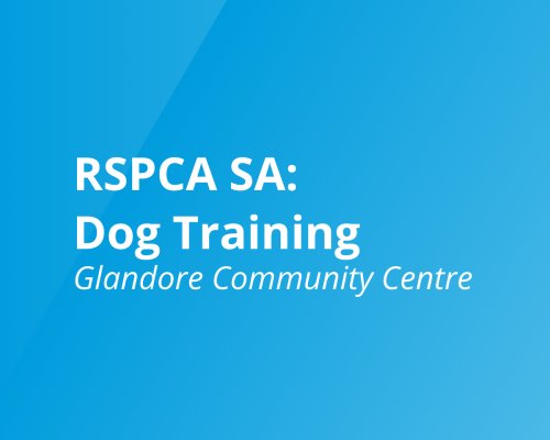 RSPCA SA Dog Training Programs glandore