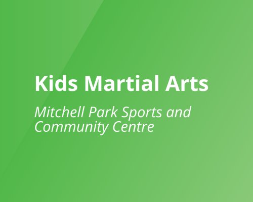 Kids Martial Arts MPSCC 2