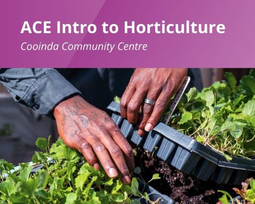 ACE intro to horticulture cooinda