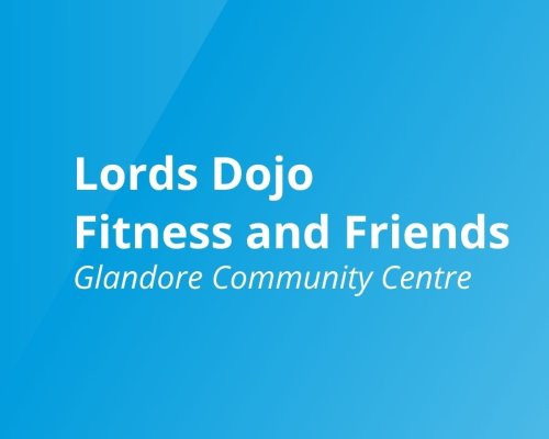 Lords Dojo Fitness and Friends glandore