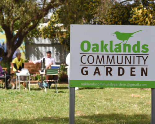 Oaklands Community Garden By Cath Leo 87 1