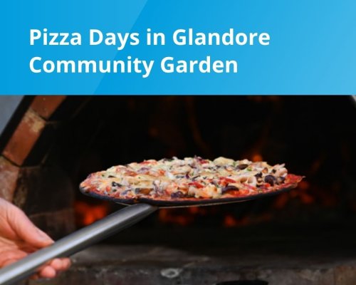 Pizza Days in Glandore Community Garden