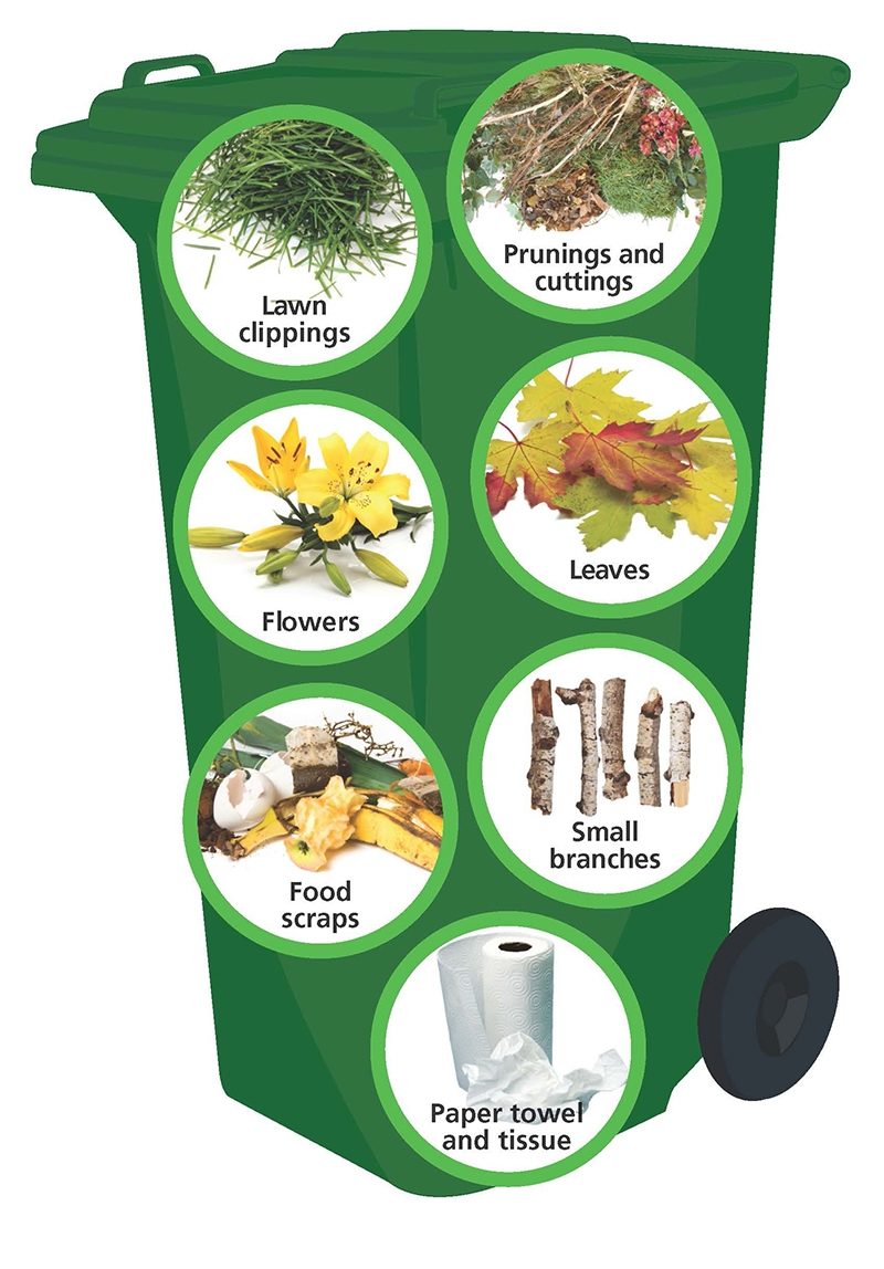 What Goes In Organics Bin