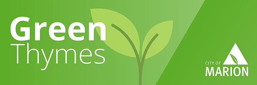 Green Thymes1200x400px