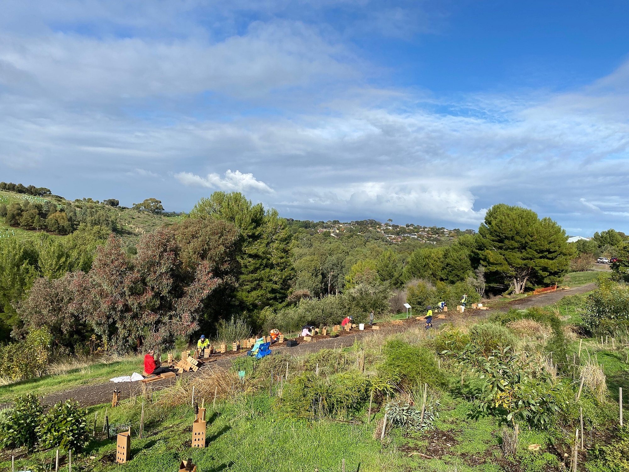 2023 Friends of Upper Field River planting 1