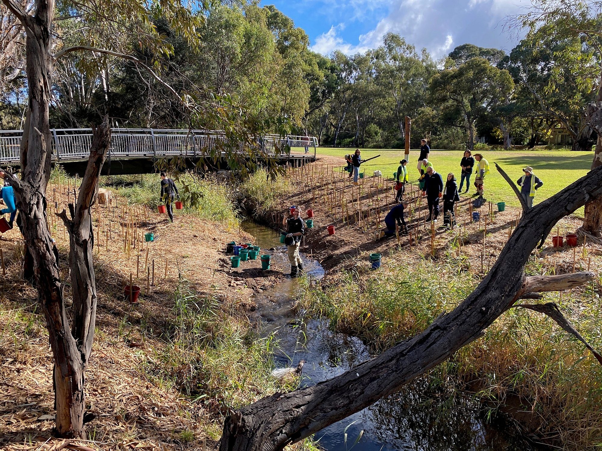 2024 Oxbow Planting event with Friends of Warriparinga 1 Sam Ryan