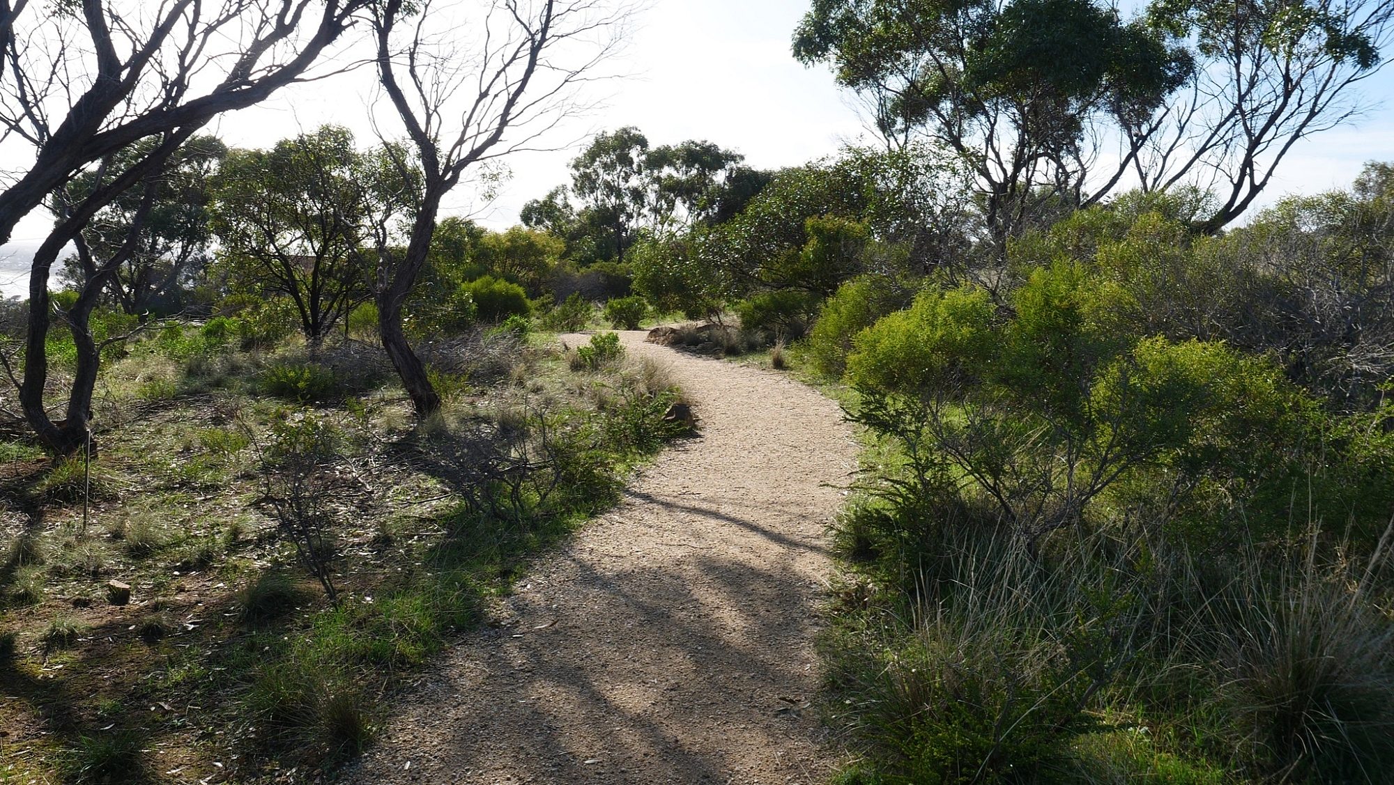 290348549 972444870115958 5092936093040127775 n