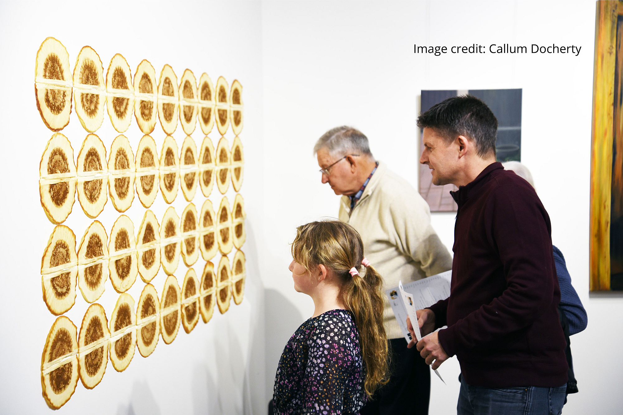 Gallery M, image credit: Callum Docherty