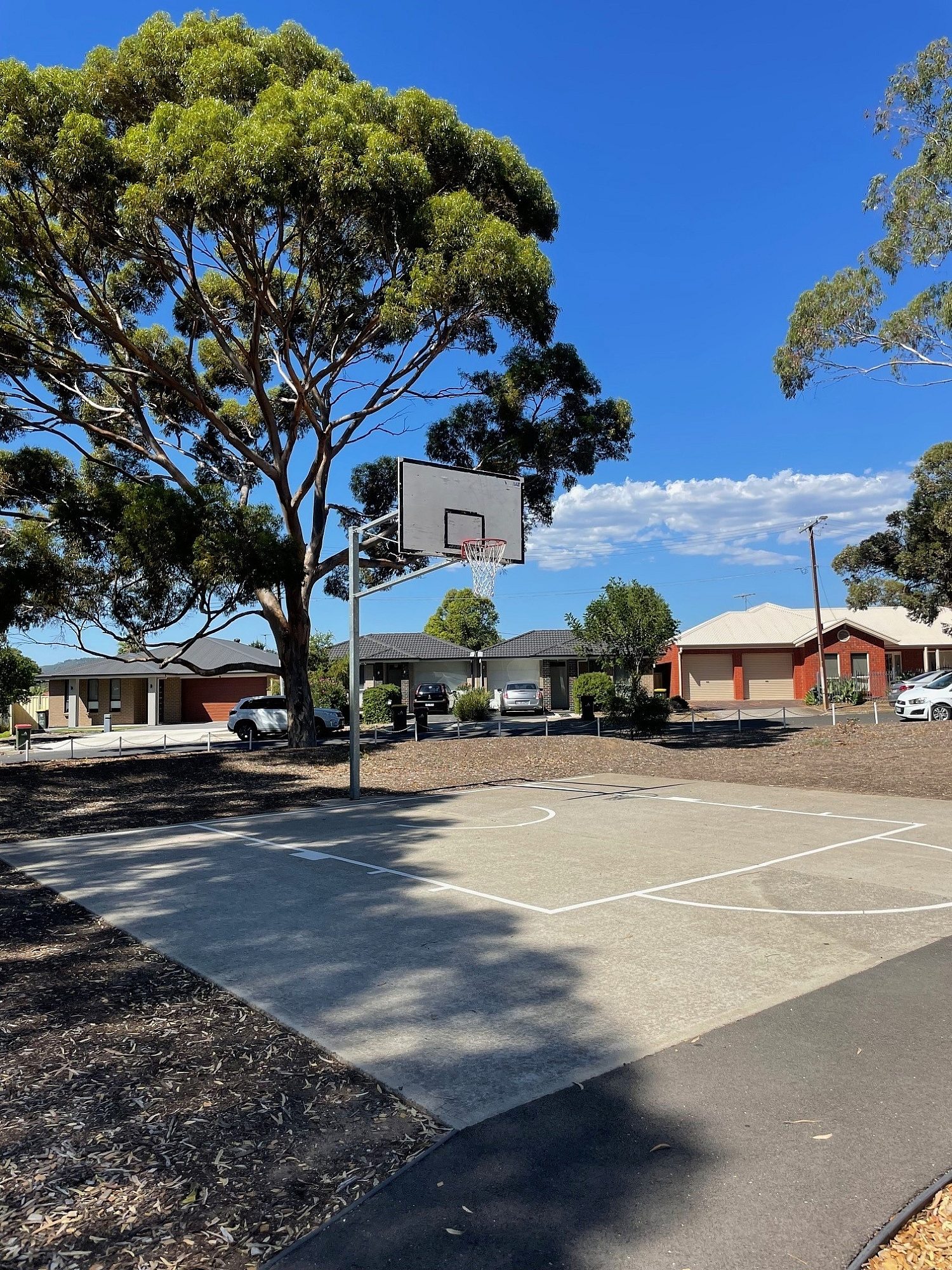 Basketball Court