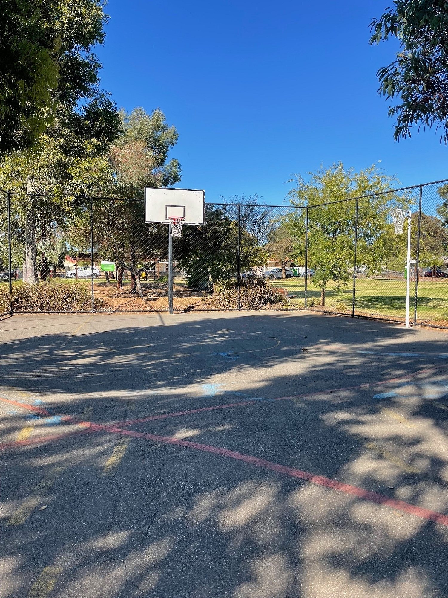 Basketball Court