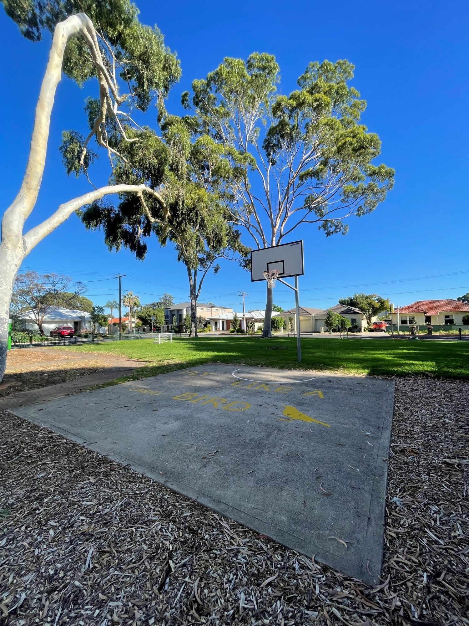 Basketball court and soccer goal