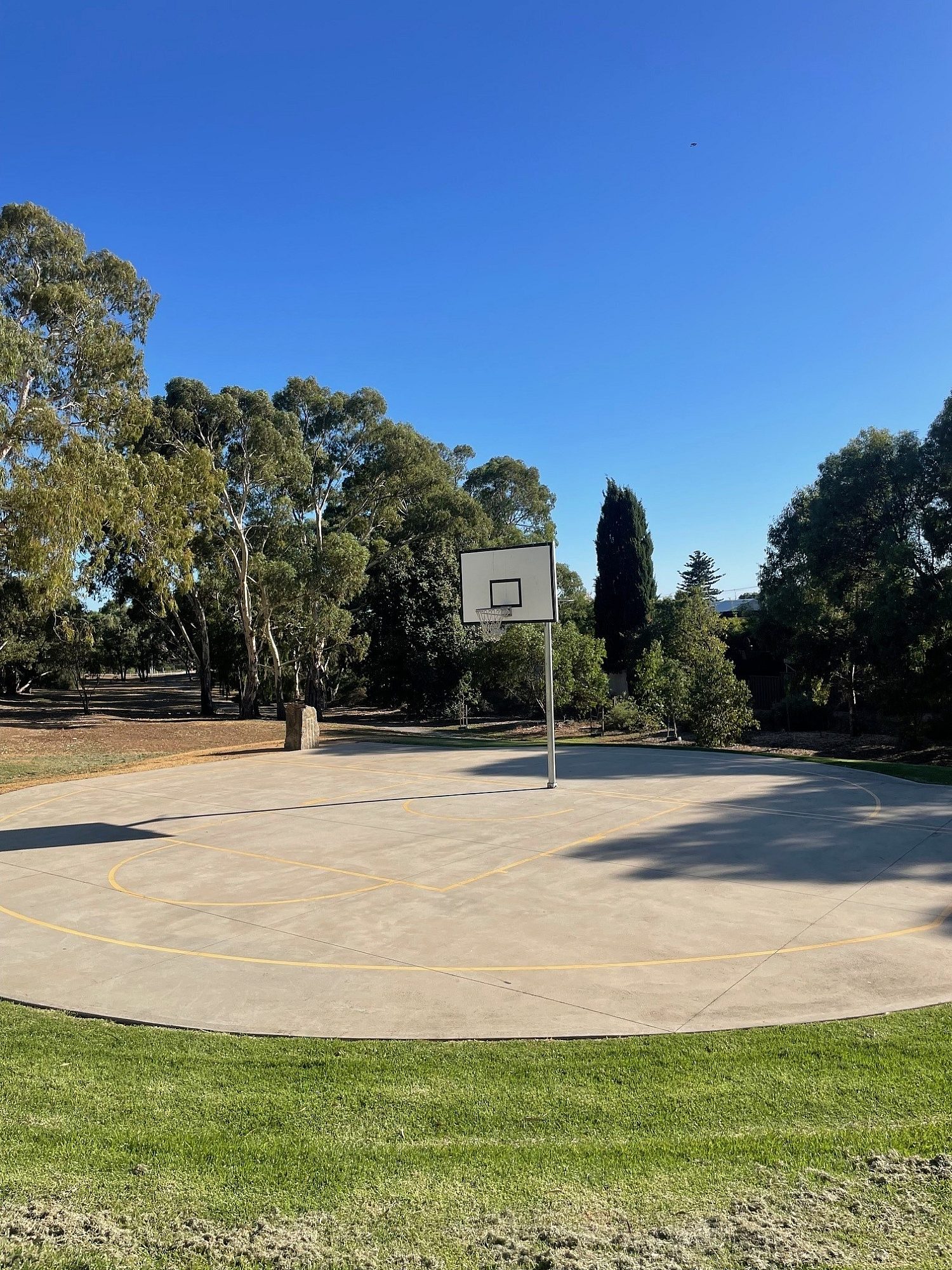 Basketball court