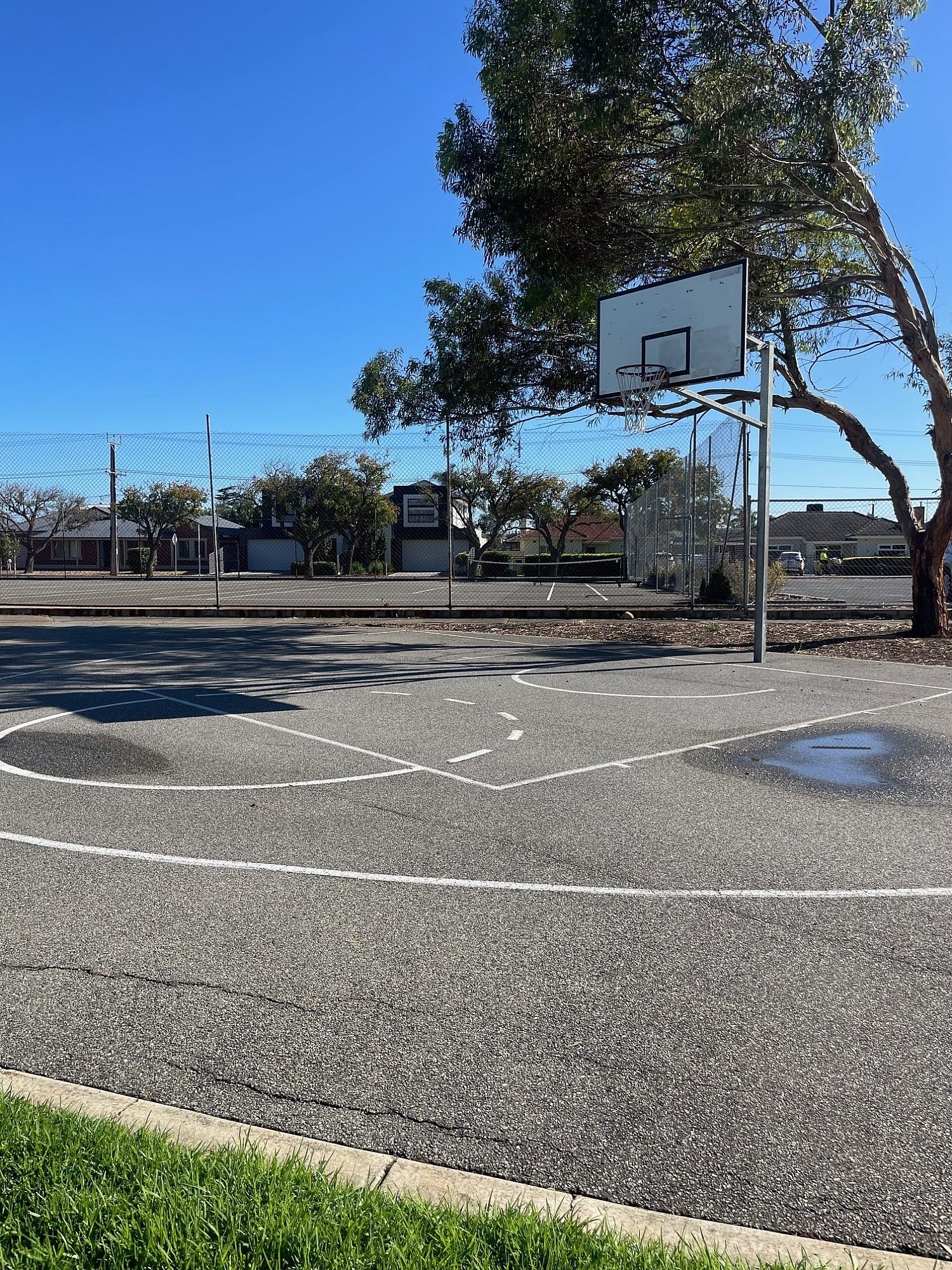 Basketball court