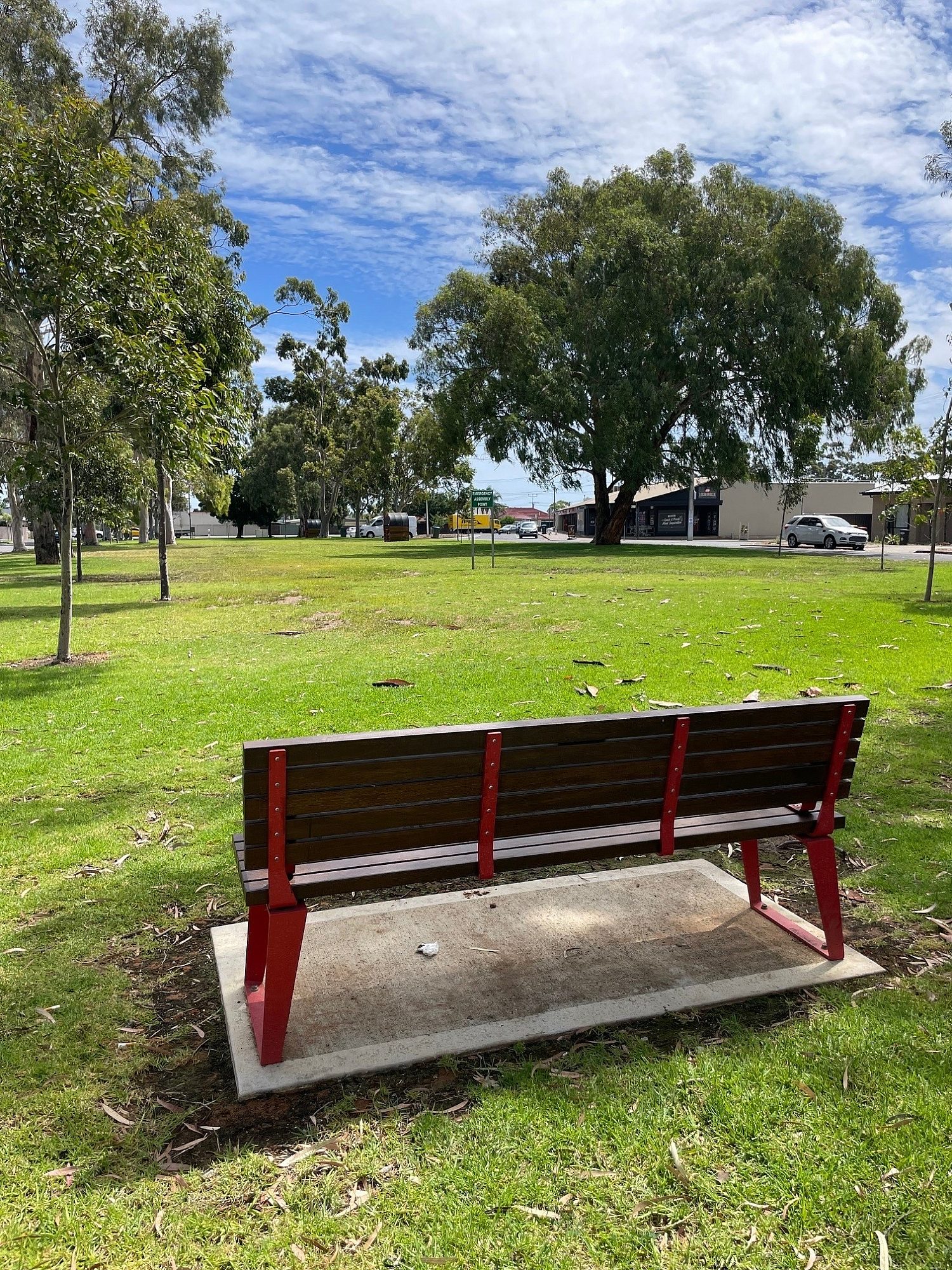 Bench and Trees
