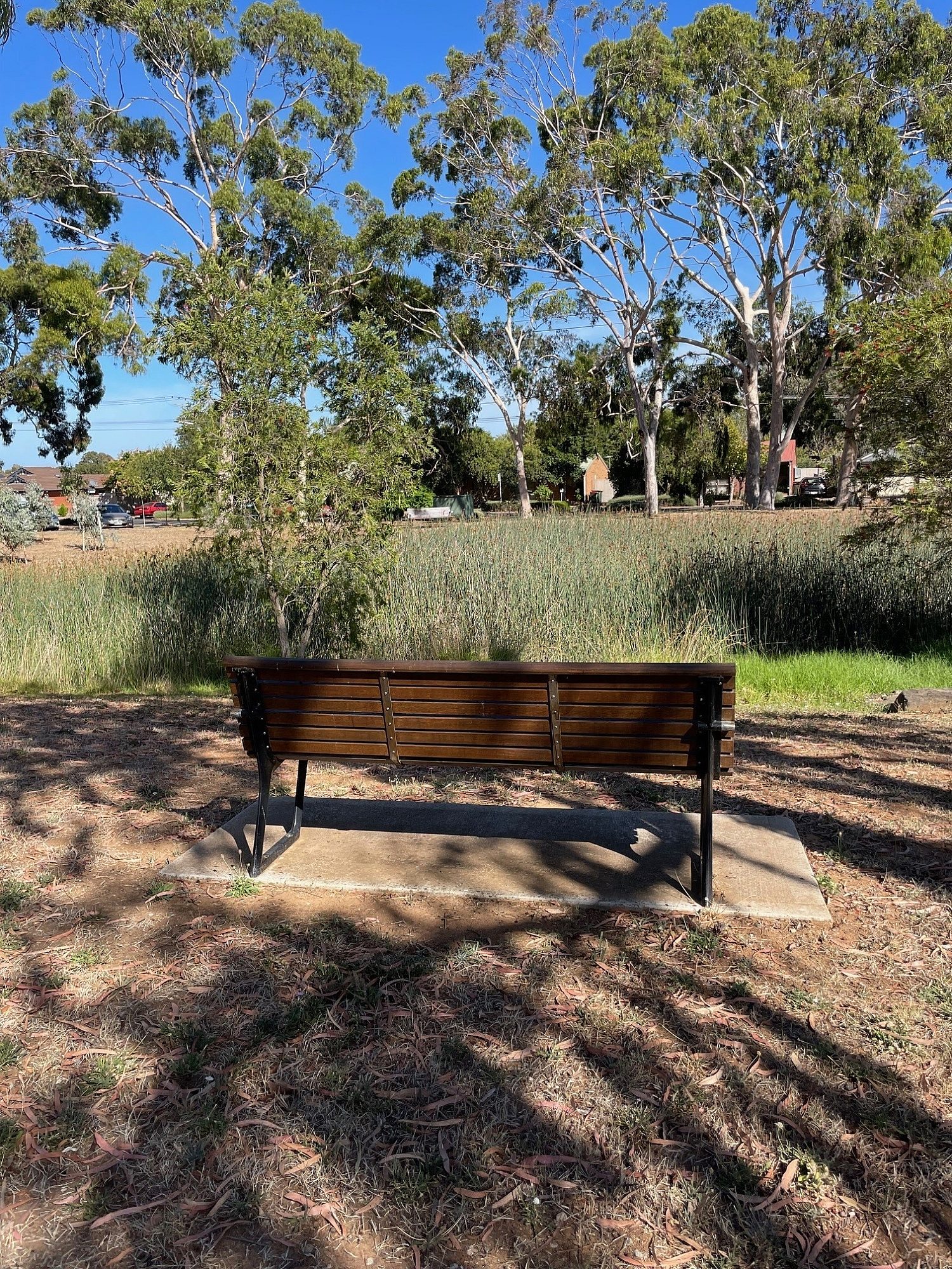 Bench