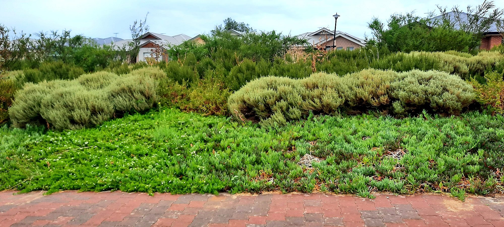 Brooklyn Drive Reserve 3