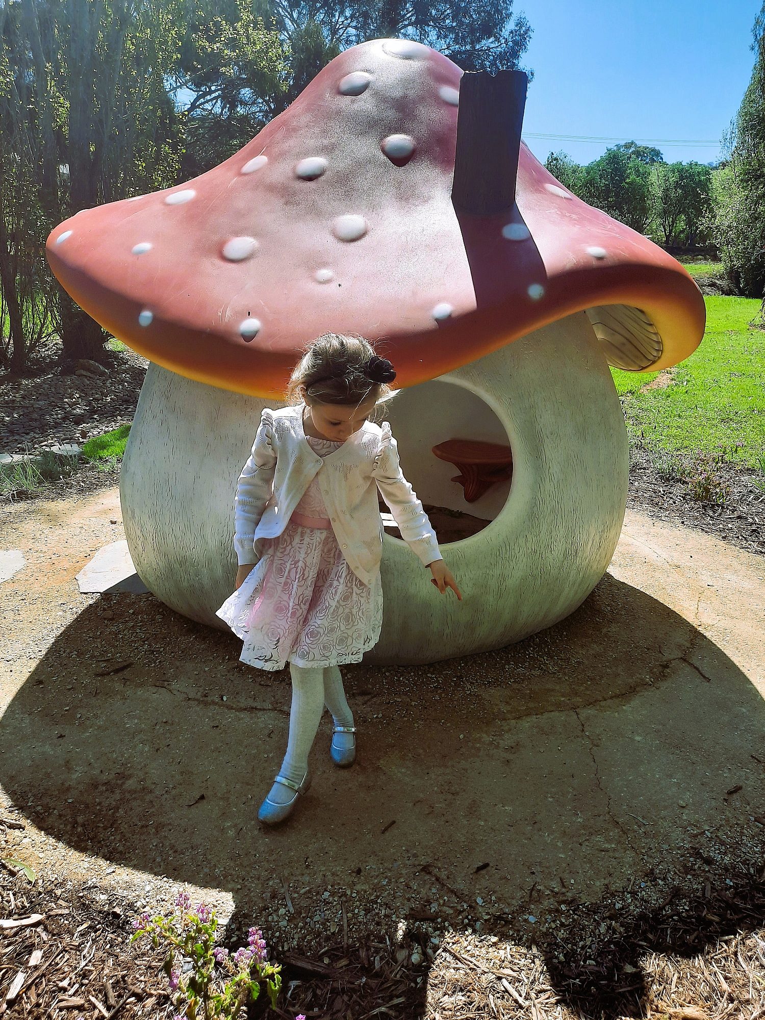 Christopher Grove Reserve 10