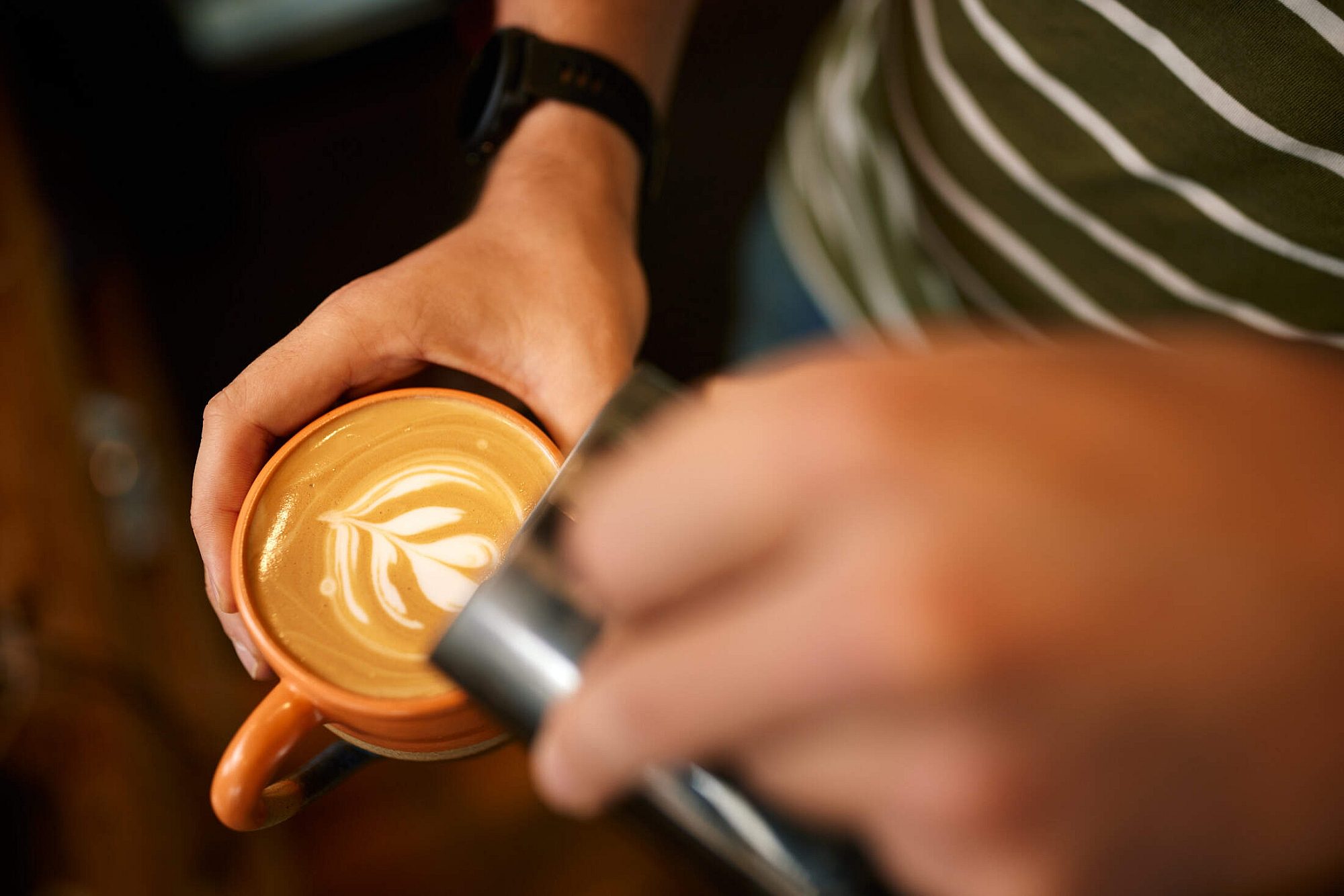 City of Marion Business Web Res Josh Geelen 18