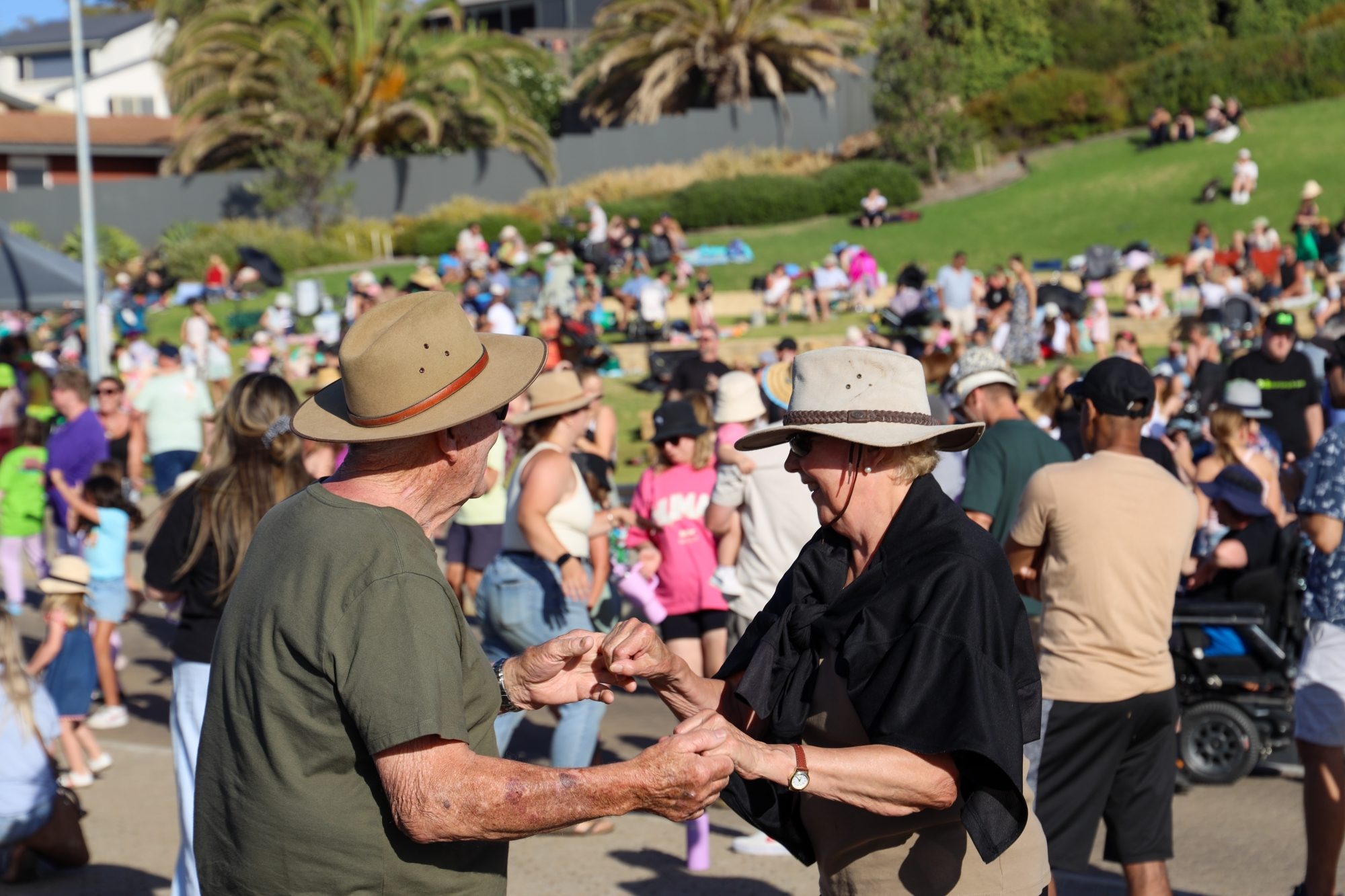 Concert at the Cove 2025