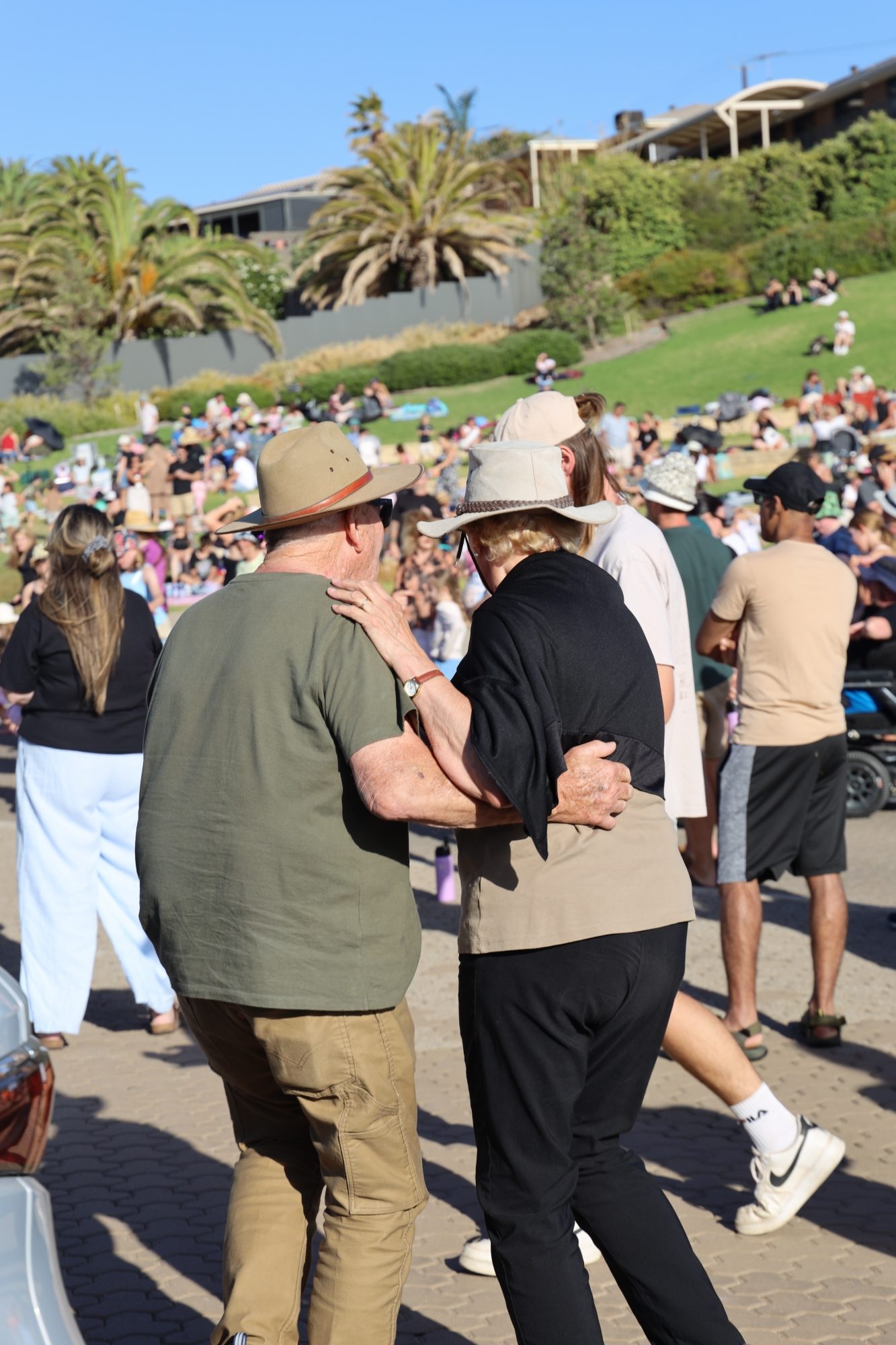 Concert at the Cove 2025