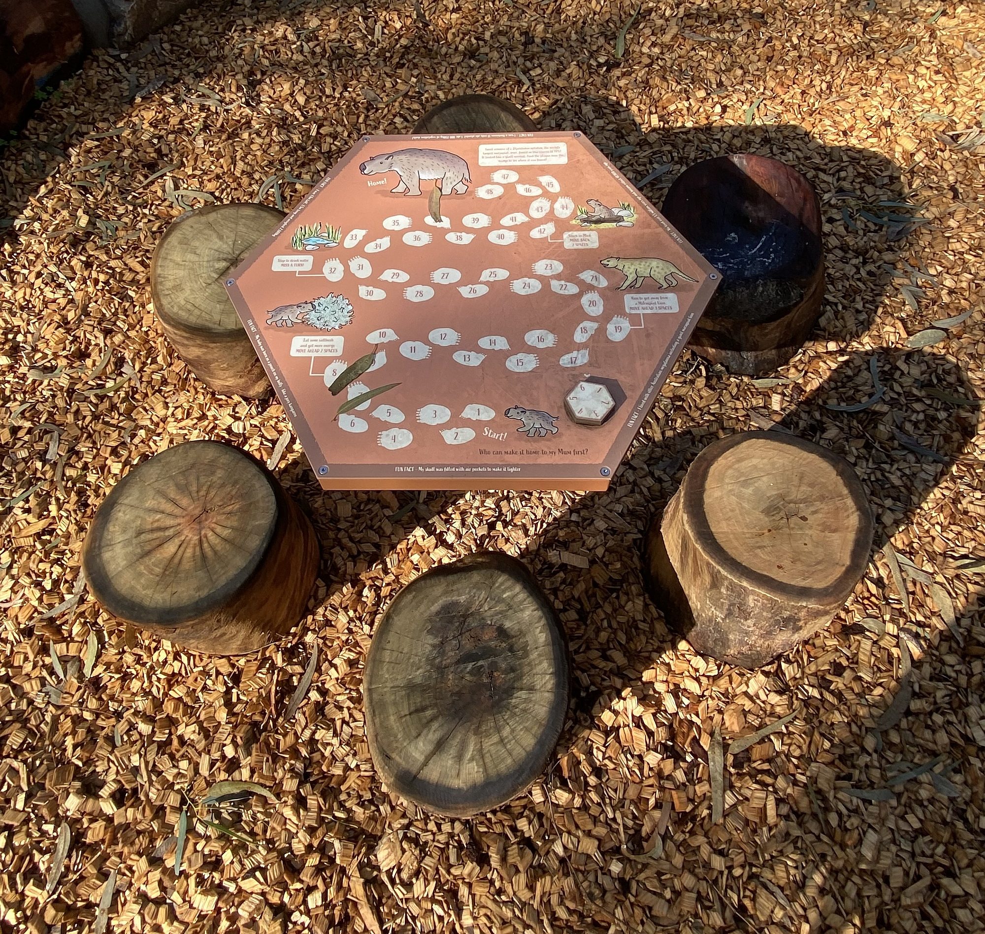 Cormorant Drive reserve IMG 2966 14 table