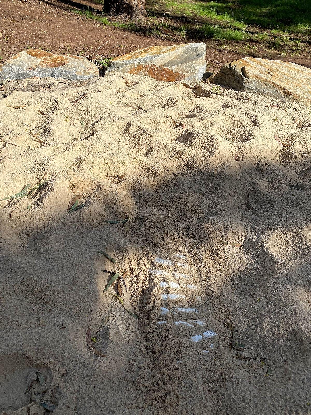 Cormorant Drive reserve IMG 2966 20 bones