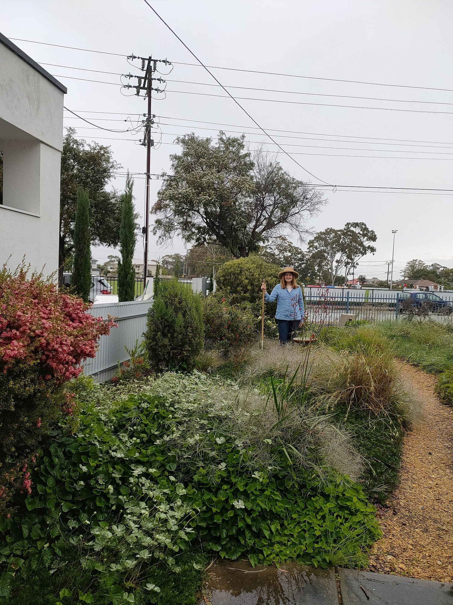 Denham Ave Biodiversity Garden 3
