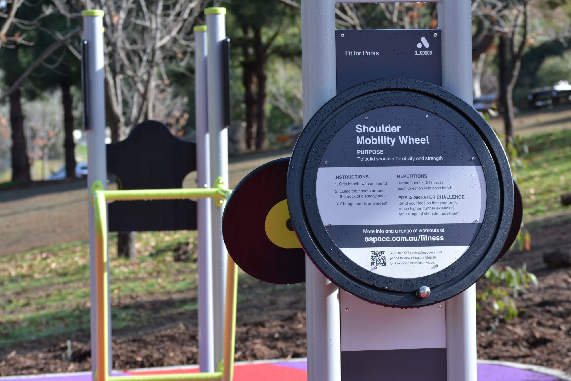 Fitness equipment DSC 0950