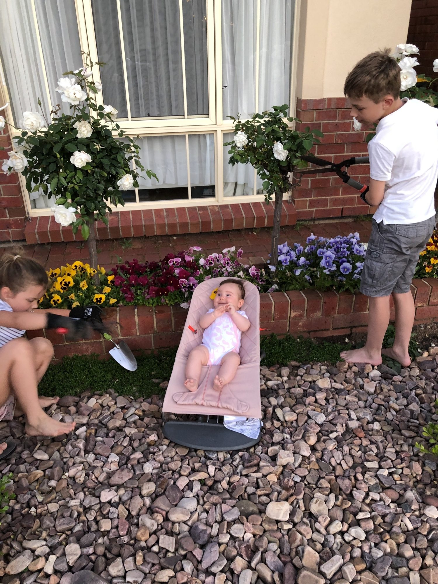 Flowers at Maldon Ave 1