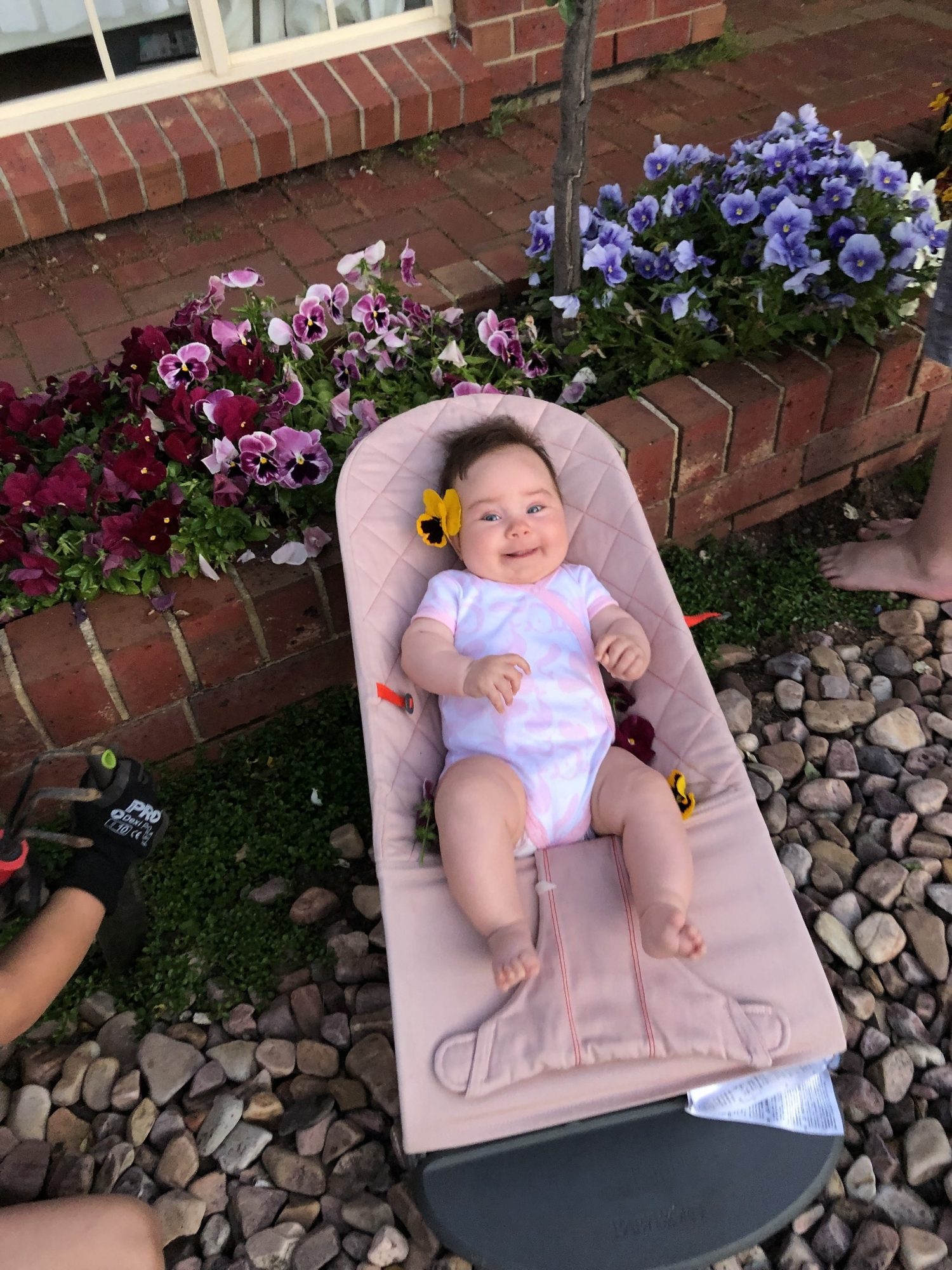 Flowers at Maldon Ave 3