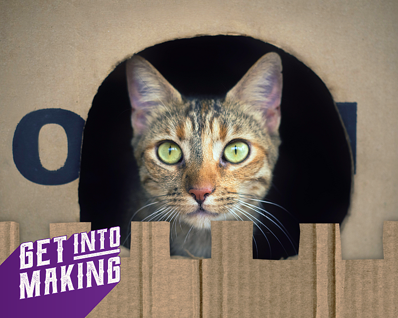 Get Into Making Cat Castles