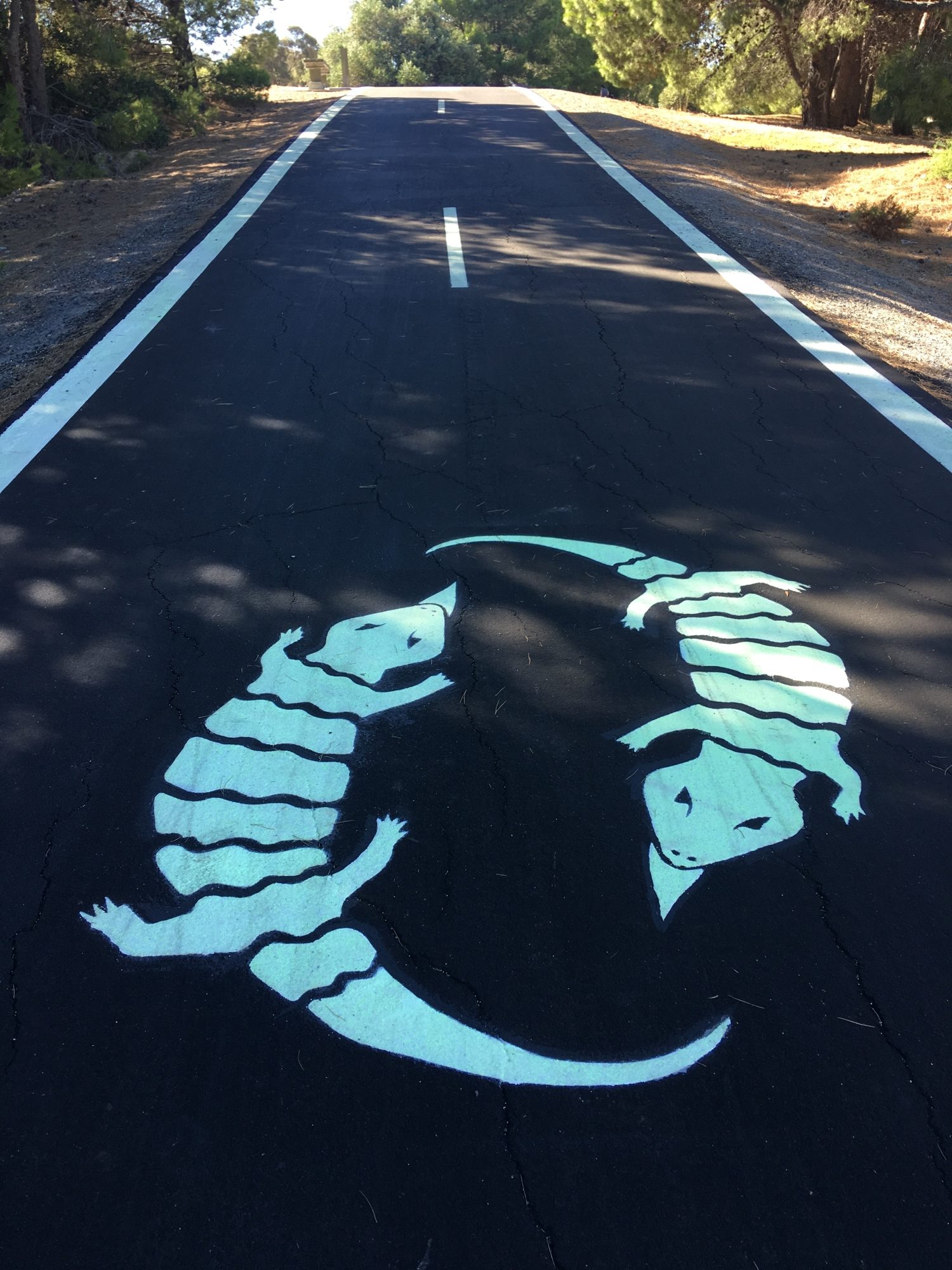 Glow Path Blue Tongue Lizard