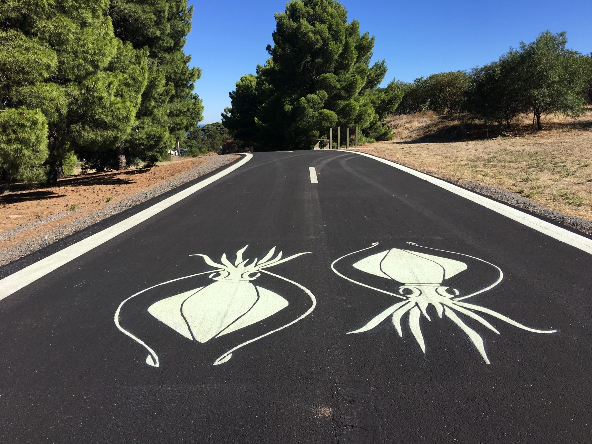 Glow Path Southern Calamari