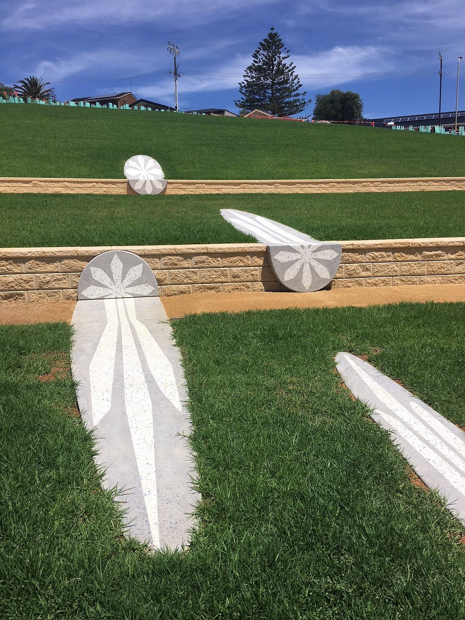 Hcmp Southern Cross Close Up