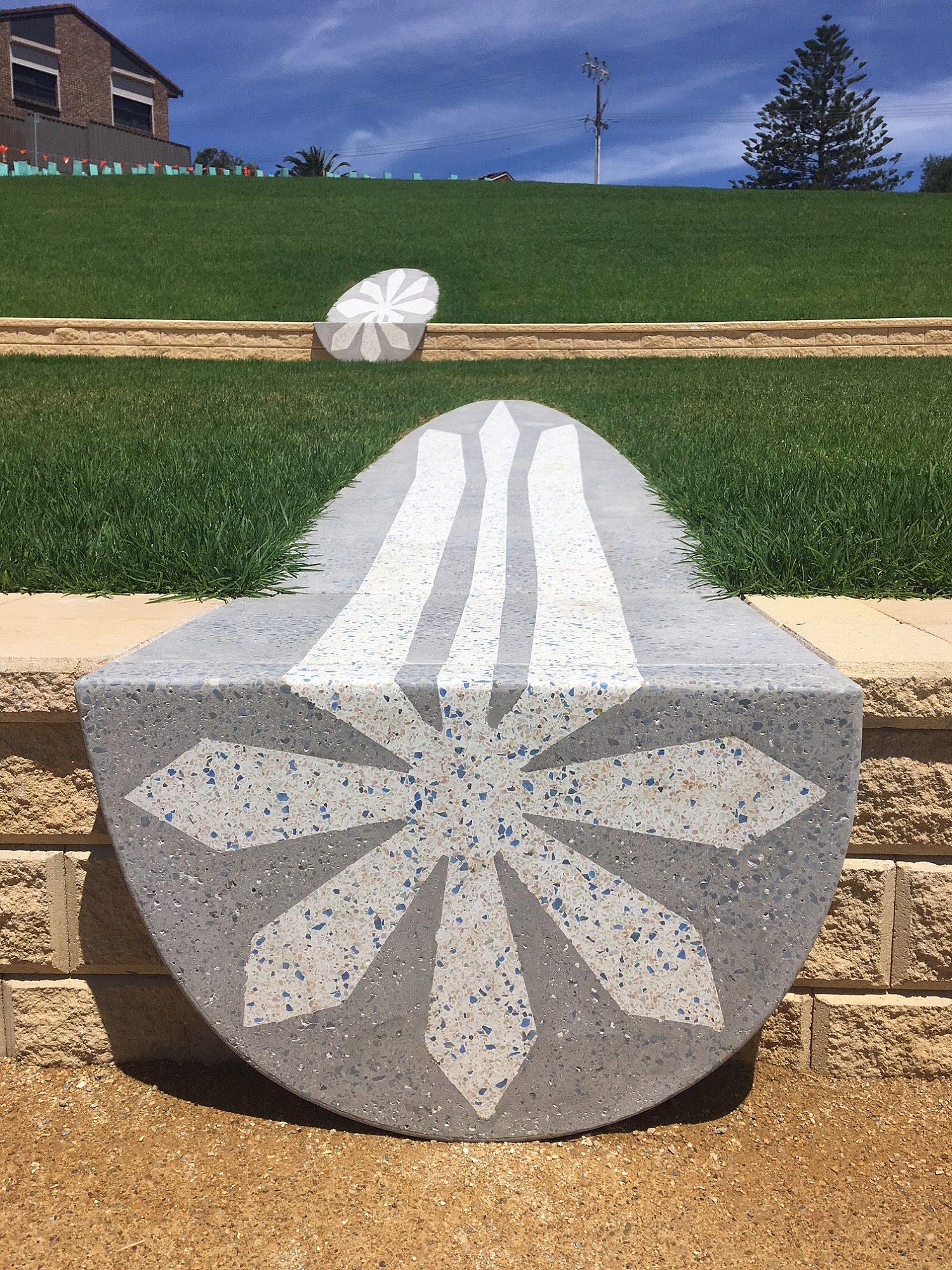 Hcmp Southern Cross Close Up2