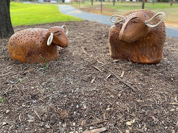 Hugh Johnson sheep smaller